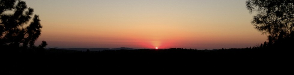 IMG_1261