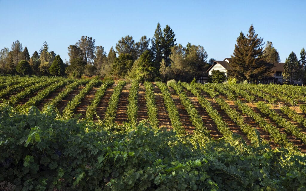 Lava Cap Winery